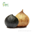 /msite/products/detail/productid/59525724/id/1001359.html